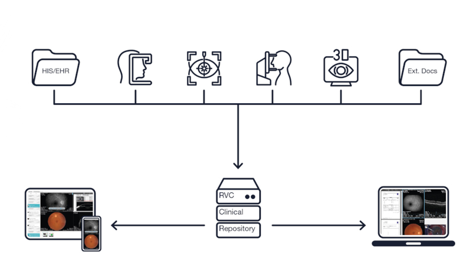 Ein erfolgreiches neues Jahr mit dem RVC Clinical Repository!