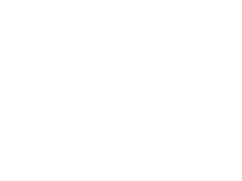 sehkraft